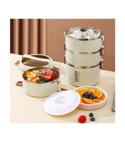 4 Layer Lunch Box, Portable Stainless Steel Insulated Lunch Box With Lunch Bag