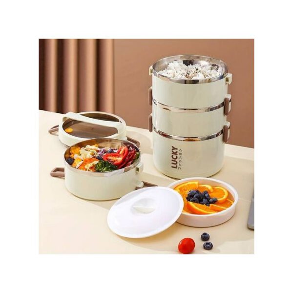 4 Layer Lunch Box, Portable Stainless Steel Insulated Lunch Box With Lunch Bag