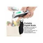 Balance à bagages suspendus numérique 50 kg/110 lb pour voyage LCD poids électronique