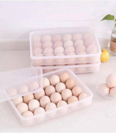 Boite a Oeufs en Plastique