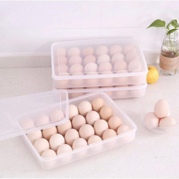 Boite a Oeufs en Plastique