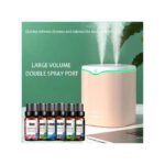 Humidificateur à Double Pulvérisation-2L