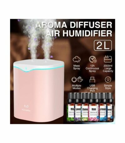 Humidificateur à Double Pulvérisation-2L