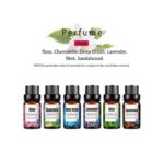 Humidificateur à Double Pulvérisation-2L