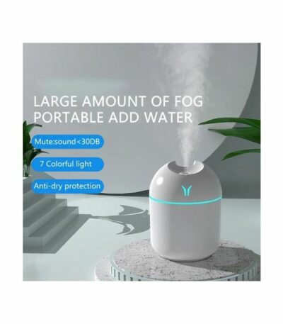 Humidificateur d'air à ultrasons Diffuseur d'aromathérapie Bidirectionnel