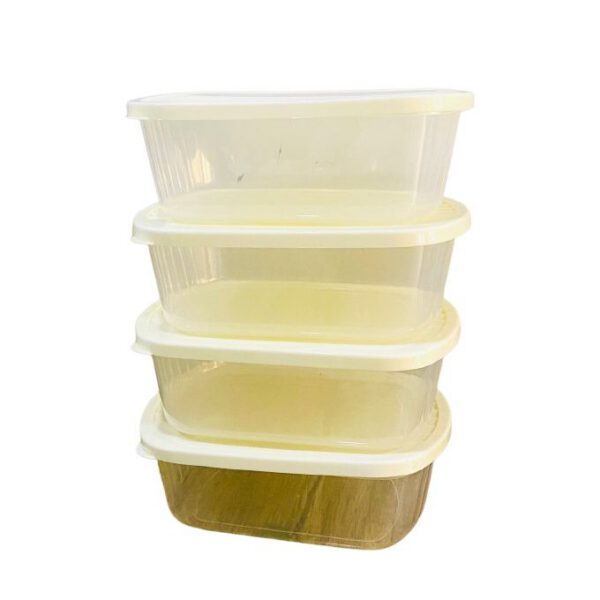 Lot de 4 boîtes de rangement en plastique avec couvercles