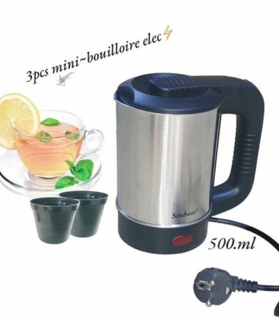 Mini Bouilloire ou Chauffe Eau Electrique en Inox 500ml
