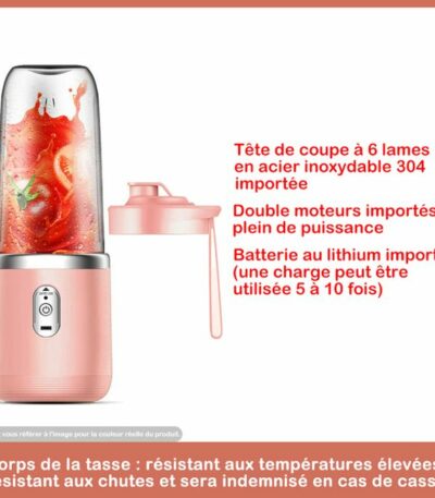 Mini Mixeur De Fruits Portable - Avec USB Rechargeable