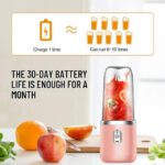 Mini Mixeur De Fruits Portable - Avec USB Rechargeable