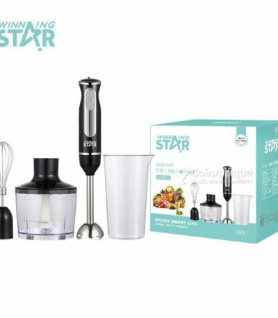Mixeur plongeant - 800 W 4 in 1