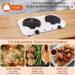 Plate Table de cuisson électrique plaque chauffante 2 feux blanc 2000w