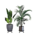 Support Bouteille de Gaz - Fontaine - Pot de Fleure - Diamètre 50 cm