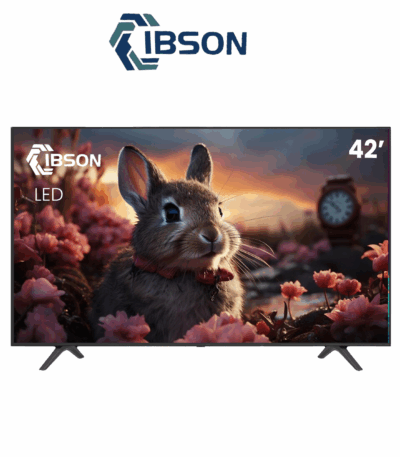 TELEVISEUR IBSON 42 » LED IB42FT1002