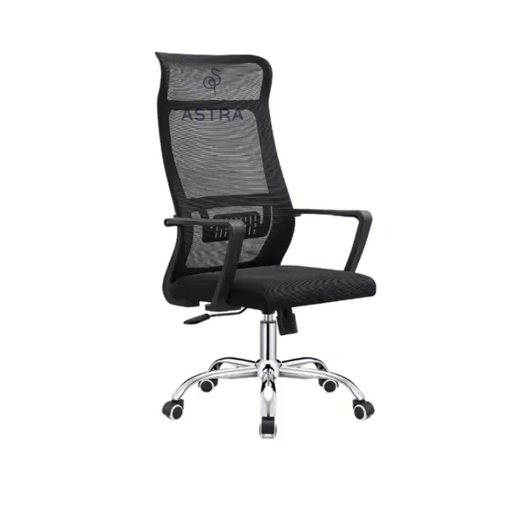 Chaise Ergonomique