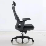 Chaise Ergonomique