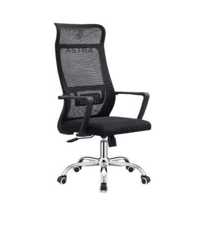 Chaise Ergonomique