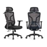 Chaise Ergonomique