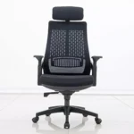 Chaise Ergonomique