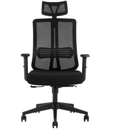 Chaise Ergonomique