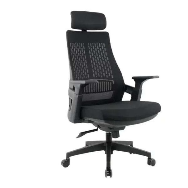 Chaise Ergonomique