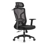 Chaise Ergonomique