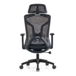 Chaise Ergonomique