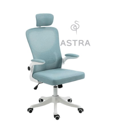 Chaise Ergonomique