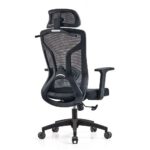 Chaise Ergonomique