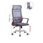 Chaise Ergonomique
