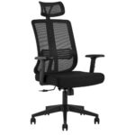 Chaise Ergonomique