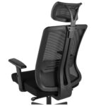 Chaise Ergonomique