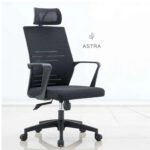 Chaise Orthopédique