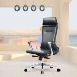 Fauteuil de Bureau