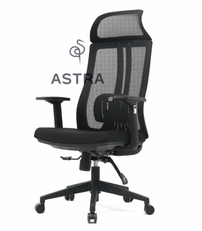Fauteuil de Bureau Ergonomique