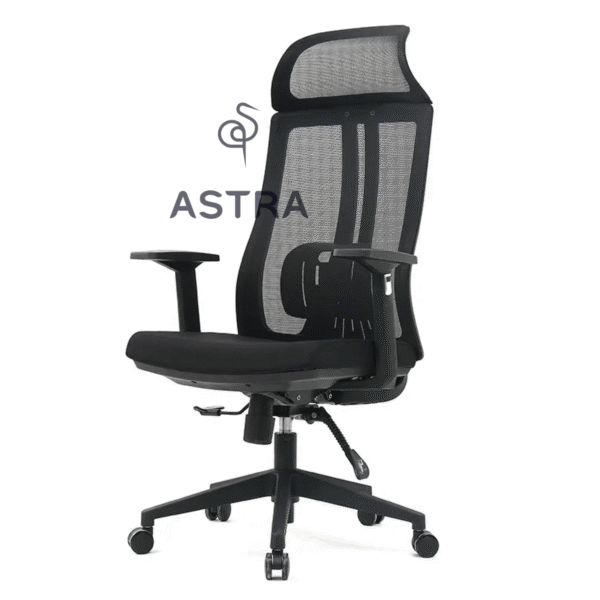 Fauteuil de Bureau Ergonomique