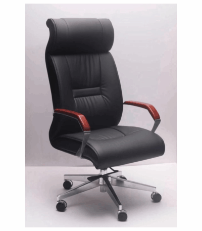 Fauteuil De Bureau Orthopédique