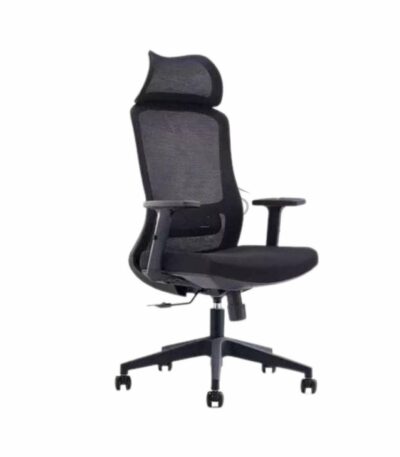 Fauteuil Ergonomique