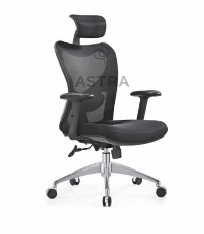 Fauteuil Ergonomique
