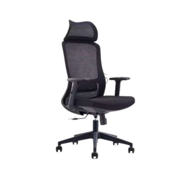 Fauteuil Ergonomique