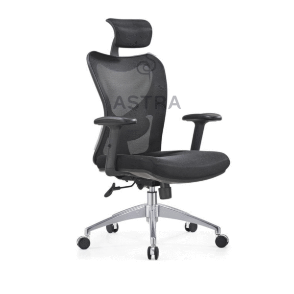 Fauteuil Ergonomique