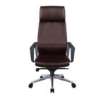 Fauteuil Ministre Cuir