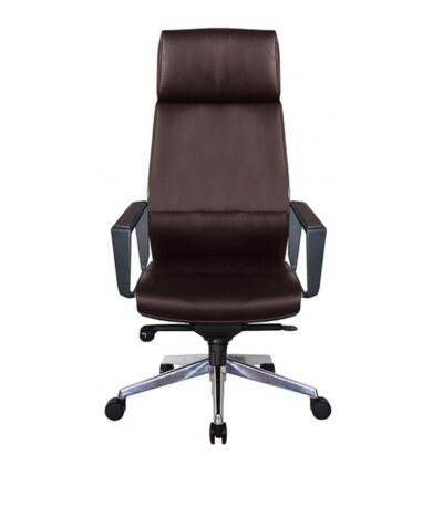 Fauteuil Ministre Cuir